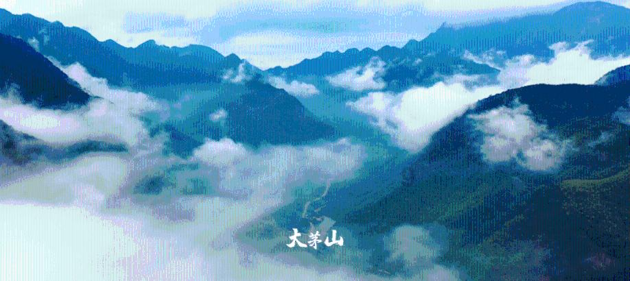 防护服燃烧假人测试装置 性能稳定